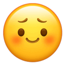 [皱眉]